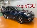 衝突被害軽減ブレーキシステム　ドラレコ　シートヒーター　ＵＳＢ接続端子　アダプティブクルーズコントロール　ステアリングスイッチ　電動パーキングブレーキ　ブラインドスポットモニター　パワーシート（神奈川県）の中古車