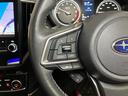 衝突被害軽減ブレーキシステム　ドラレコ　シートヒーター　ＵＳＢ接続端子　アダプティブクルーズコントロール　ステアリングスイッチ　電動パーキングブレーキ　ブラインドスポットモニター　パワーシート（神奈川県）の中古車