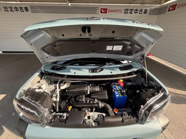 タフトＧ純正ナビゲーション　パノラマモニター　ドライブレコーダー　フロントシートヒーター　電動パーキングブレーキ　電動格納式ドアミラー　パワーウィンドウ　プッシュスタートスイッチ　キーフリーシステム（奈良県）の中古車