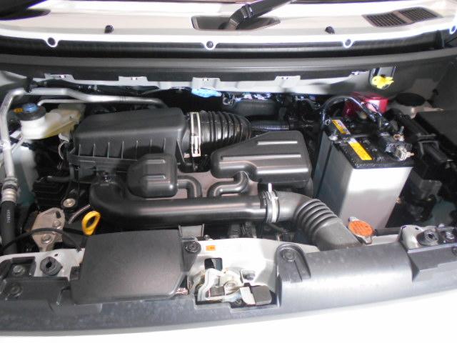 タフトＧ　４ＷＤ（福井県）の中古車