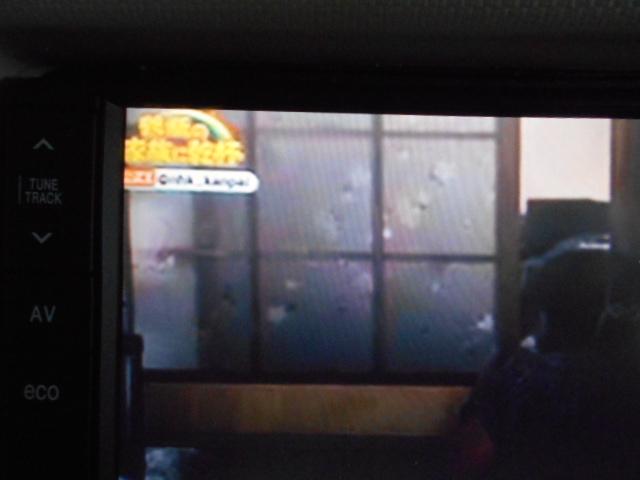 ミラココアココアプラスG 4WD メモリーナビ バックモニター装着(福井県)の中古車