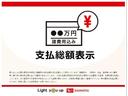 バックモニター　衝突軽減装置　エコアイドル　横滑り防止　キーレスキー　レーンキープアシスト　ハイビームアシスト　運転席助手席エアバッグ　ＬＥＤ　衝突安全ボディ　オートライト　ＡＢＳ　エアバック（富山県）の中古車
