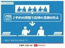 バックモニター　衝突軽減装置　エコアイドル　横滑り防止　キーレスキー　レーンキープアシスト　ハイビームアシスト　運転席助手席エアバッグ　ＬＥＤ　衝突安全ボディ　オートライト　ＡＢＳ　エアバック（富山県）の中古車