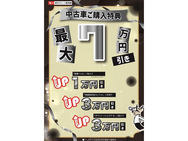 ロッキーＧキーフリーシステム　アルミホイール　運転席・助手席シートヒーター　オートライト　オートハイビーム　クルーズコントロール機能　運転席・助手席シートヒーター　ナビ　パノラマモニター　ドライブレコーダー（栃木県）の中古車