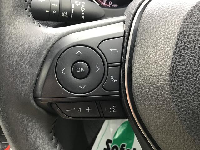 ＲＡＶ４アドベンチャー　オフロードパッケージダイハツ認定中古車・まごころ保証１年走行距離無制限保証　ナビゲーションシステム　バックカメラ　オートライト　クルーズコントロール機能　ＥＴＣ車載器　クルーズコントロール機能（栃木県）の中古車