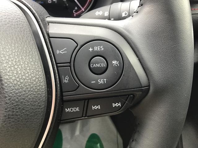ＲＡＶ４アドベンチャー　オフロードパッケージダイハツ認定中古車・まごころ保証１年走行距離無制限保証　ナビゲーションシステム　バックカメラ　オートライト　クルーズコントロール機能　ＥＴＣ車載器　クルーズコントロール機能（栃木県）の中古車