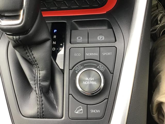 ＲＡＶ４アドベンチャー　オフロードパッケージダイハツ認定中古車・まごころ保証１年走行距離無制限保証　ナビゲーションシステム　バックカメラ　オートライト　クルーズコントロール機能　ＥＴＣ車載器　クルーズコントロール機能（栃木県）の中古車