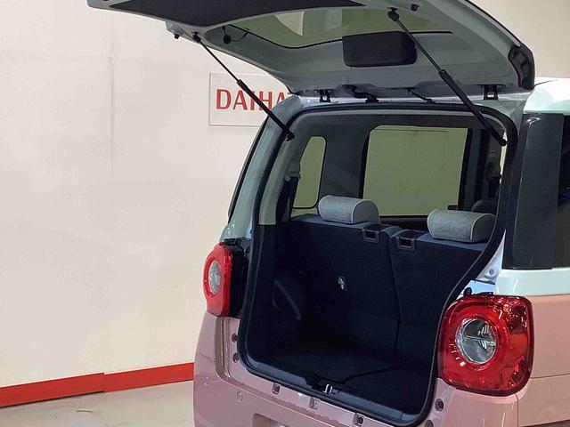 ムーヴキャンバスストライプスＧ（栃木県）の中古車
