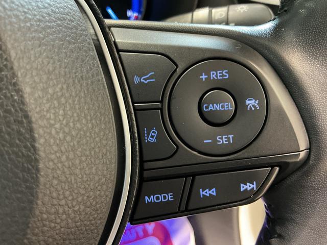 ＲＡＶ４ハイブリッドＧドライブレコーダ　シートヒータ　バックモニター　ＬＥＤヘッドライト　スマキー　ＴＶナビ　横滑り防止装置　クルコン　エアバッグ　ＡＷ　キーレスエントリー　ＥＴＣ　ＡＢＳ（栃木県）の中古車
