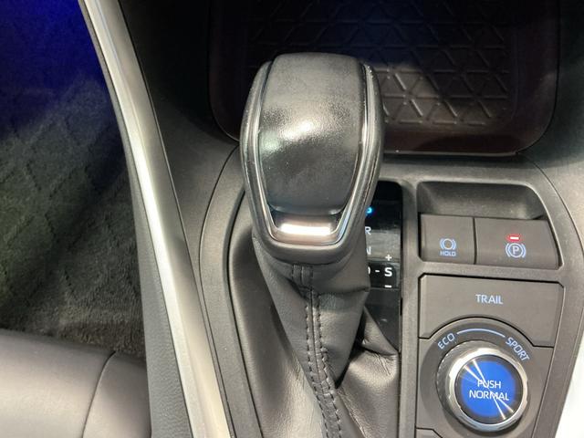ＲＡＶ４ハイブリッドＧドライブレコーダ　シートヒータ　バックモニター　ＬＥＤヘッドライト　スマキー　ＴＶナビ　横滑り防止装置　クルコン　エアバッグ　ＡＷ　キーレスエントリー　ＥＴＣ　ＡＢＳ（栃木県）の中古車