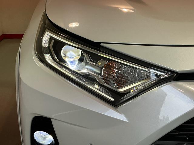 ＲＡＶ４ハイブリッドＧドライブレコーダ　シートヒータ　バックモニター　ＬＥＤヘッドライト　スマキー　ＴＶナビ　横滑り防止装置　クルコン　エアバッグ　ＡＷ　キーレスエントリー　ＥＴＣ　ＡＢＳ（栃木県）の中古車