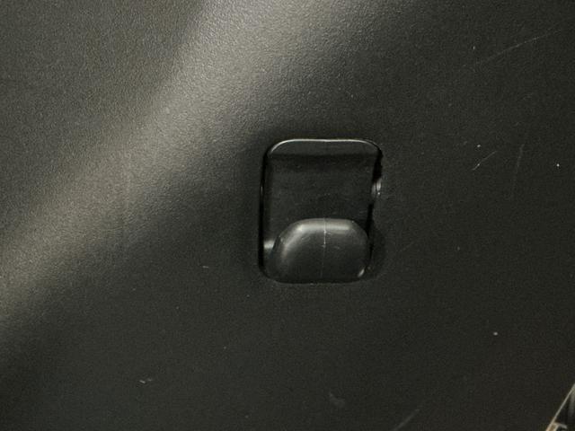 トールＧ衝突回避支援ブレーキ　オートＬＥＤ　電格ミラー　メモリナビ　ＥＴＣ　ＬＥＤライト　横滑り防止装置　車線逸脱警報　両側自動ドア　セキュリティーアラーム　キーフリーシステム　オートライト　エアバッグ（栃木県）の中古車