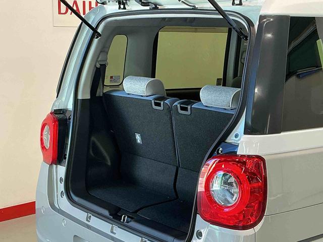 ムーヴキャンバスストライプスＧ（栃木県）の中古車