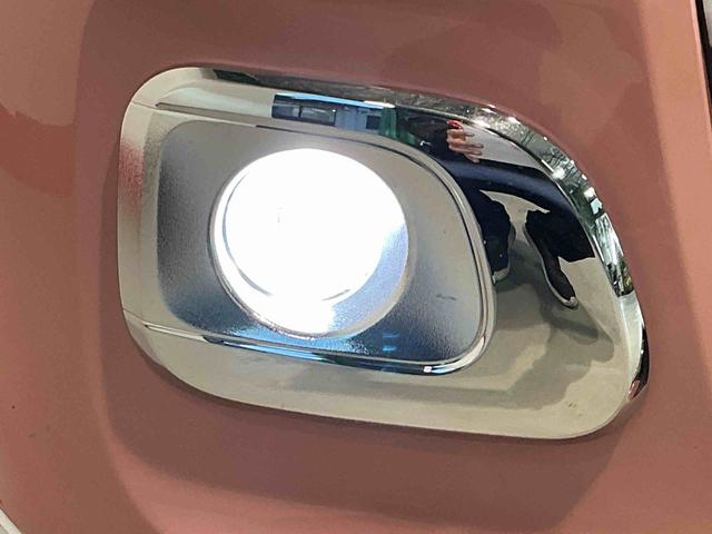 ムーヴキャンバスストライプスＧ（栃木県）の中古車