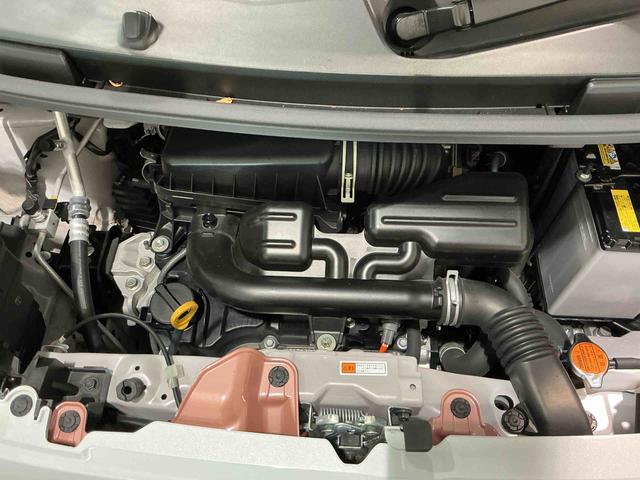 ムーヴキャンバスストライプスＧ（栃木県）の中古車