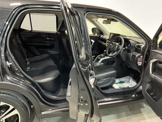 ロッキープレミアム雹害(栃木県)の中古車