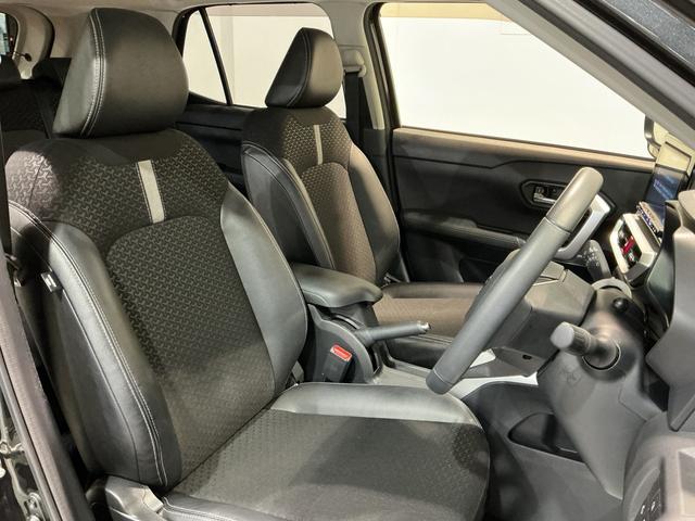 ロッキープレミアム雹害(栃木県)の中古車