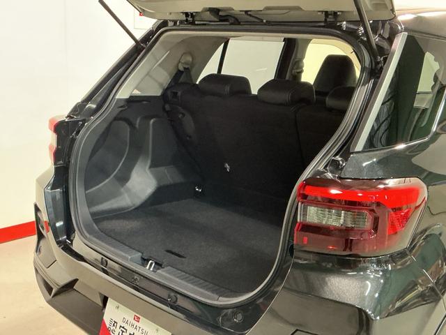 ロッキープレミアム雹害(栃木県)の中古車