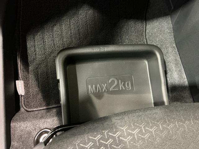 ロッキープレミアム雹害(栃木県)の中古車