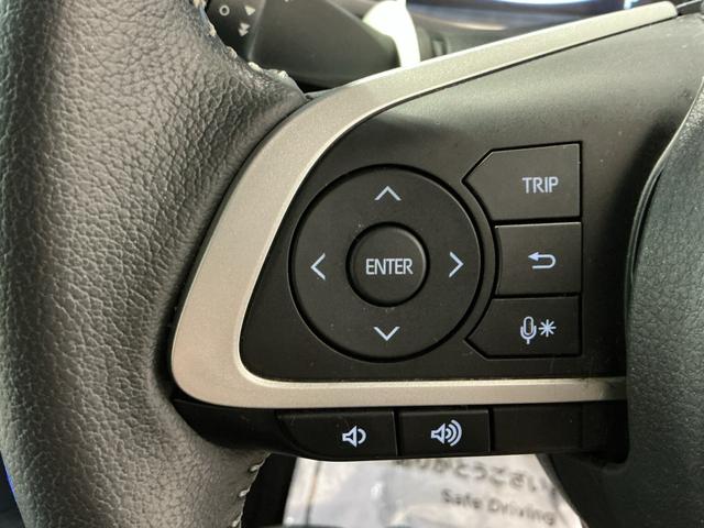 ロッキープレミアム雹害(栃木県)の中古車