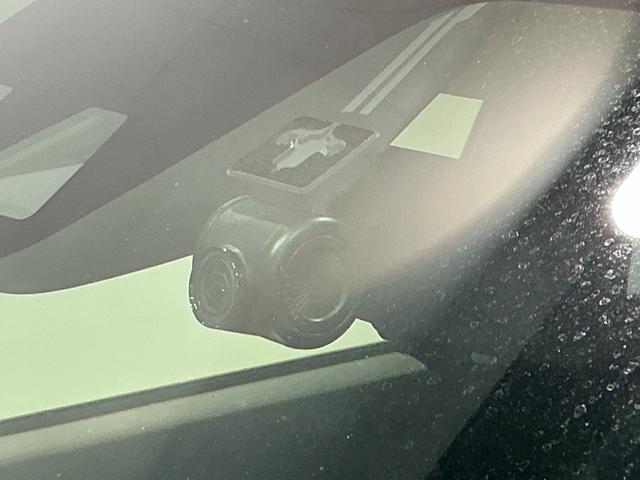 ロッキープレミアム雹害(栃木県)の中古車