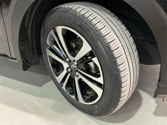 ロッキープレミアム雹害(栃木県)の中古車