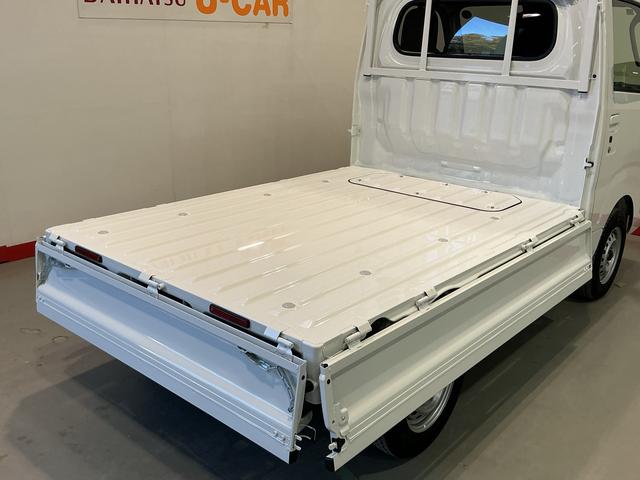 ハイゼットトラックＥＸＴ（栃木県）の中古車