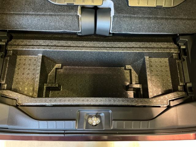 タントＸ（栃木県）の中古車