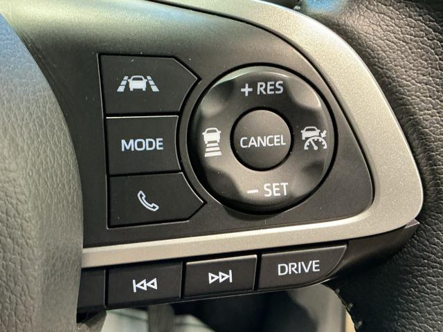 ロッキープレミアムＧ　ＨＥＶバックカメラ付き　電動格納式ドアミラー　追従式クルーズコントロール　衝突被害軽減　盗難防止　衝突安全ボディ　Ｄレコ　アルミホイル　ＬＥＤライト　ＥＴＣ付　オートＬＥＤ　Ｓヒーター（栃木県）の中古車