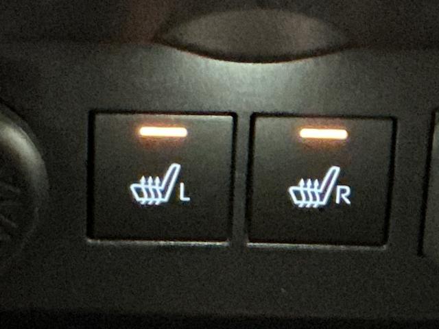 ロッキープレミアムパノラマモニター対応 ナビゲーションシステム アダプティブクルーズコントロール 衝突被害軽減ブレーキ シートヒータ クリアランスソナー キーフリーシステム アルミホイール ETC車載器(栃木県)の中古車