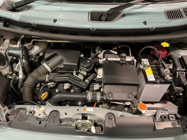 タフトGターボレーダークルーズC ナビ&TV 電動格納式ミラー 車線逸脱防止 ATハイビーム Rカメラ ETC車載器 LEDランプ Aライト キーフリー スマートキー 盗難防止システム ターボ(栃木県)の中古車