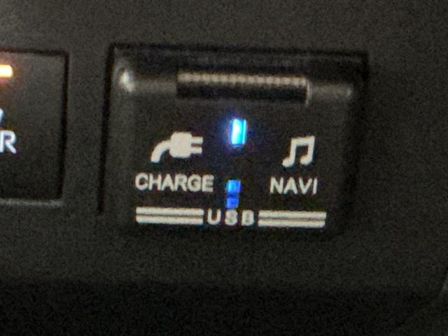 ロッキーGナビゲーションシステム パノラマモニター キーフリーシステム アルミホイール 運転席・助手席シートヒーター オートライト オートハイビーム クルーズコントロール機能 運転席・助手席シートヒーター(栃木県)の中古車