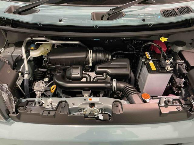 タフトＸキーフリーシステム　スマートアシスト　コーナーセンサー　オートライト　ＬＥＤヘッドライト　電動パーキングブレーキ　オートエアコン　電動格納式ドアミラー（栃木県）の中古車