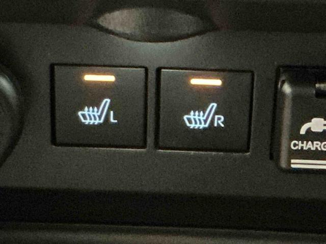 ロッキープレミアムG HEVナビゲーションシステム バックカメラ クルーズコントロール スマートアシスト LEDヘッドライト ETC車載器 フォグランプ(栃木県)の中古車