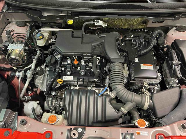 ロッキープレミアムG HEVナビゲーションシステム バックカメラ クルーズコントロール スマートアシスト LEDヘッドライト ETC車載器 フォグランプ(栃木県)の中古車