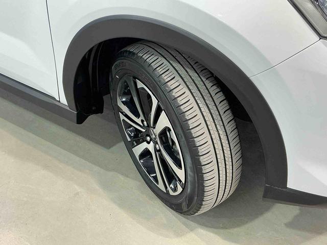 ロッキープレミアムＧナビゲーションシステム　バックカメラ　キーフリーシステム　アルミホイール　運転席・助手席シートヒーター　オートライト　オートハイビーム　クルーズコントロール機能　運転席・助手席シートヒーター（栃木県）の中古車