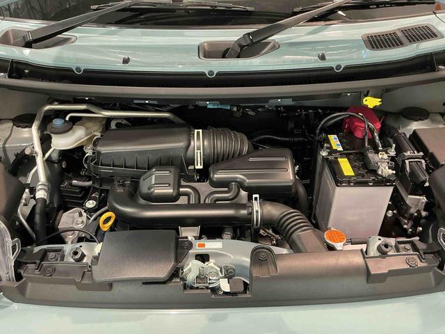 タフトＧナビゲーションシステム　パノラマモニター　ドライブレコーダー　スマートアシスト　誤発進抑制機能　ＬＥＤヘッドライト　純正アルミホイール　キーフリーシステム（栃木県）の中古車