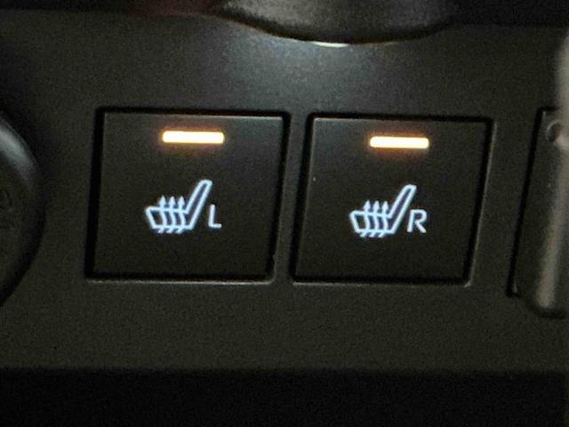 ロッキープレミアムＧディスプレイオーディオ　パノラマモニター　キーフリーシステム　アルミホイール　運転席・助手席シートヒーター　オートライト　オートハイビーム　クルーズコントロール機能　運転席・助手席シートヒーター（栃木県）の中古車