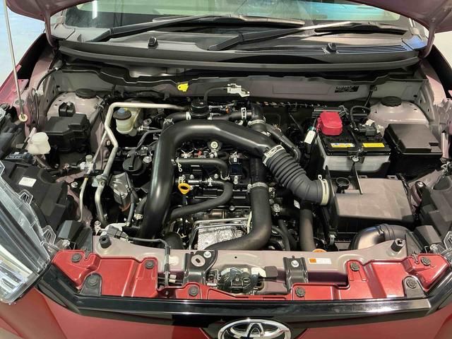 ライズＧディスプレイオーディオ　ドライブレコーダー　シートヒーター　パノラマモニター　ＬＥＤヘッドライト　コーナーセンサー　衝突被害軽減システム　誤発進抑制機能（栃木県）の中古車