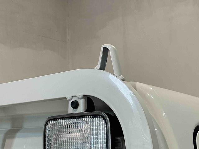 ハイゼットトラックローダンプローダンプ マニュアルミッション 4WD デフロック機能 荷台作業灯 エアバッグ(栃木県)の中古車