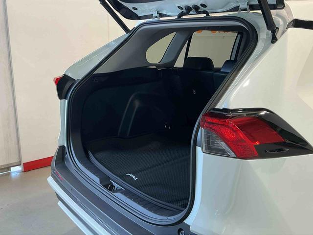 ＲＡＶ４ハイブリッドＧ衝突回避システム　Ｂモニタ　衝突安全ボディ　ＬＥＤランプ　スマートキー＆プッシュスタート　ナビ　４ＷＤ車　盗難防止　横滑防止　ＡＷ　ＡＢＳ　エアバッグ　メモリーナビ　ＥＴＣ　キーレス（栃木県）の中古車
