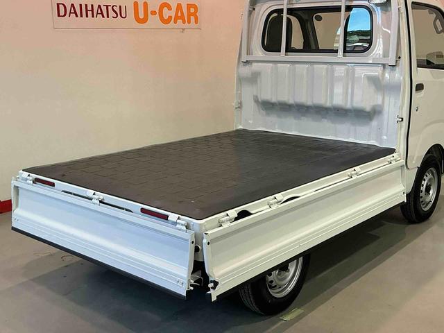 ハイゼットトラックスタンダード 農用スペシャルマニュアルミッション MT 4WD切り替え機能 デフロック機能 荷台作業灯 純正ラジオ(栃木県)の中古車