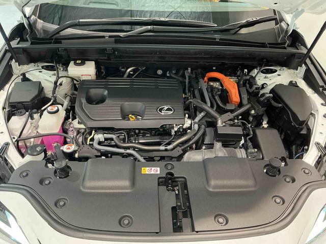 NXNX350h Fスポーツ(栃木県)の中古車