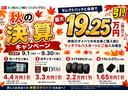 サポカーＳワイド適合　パノラマモニター対応　Ｂカメラ　Ｐスタート　両側オートスライドドア　誤発進抑制装置　横滑り防止機能　コーナーセンサー　電動パーキングブレーキ　全車速追従機能付ＡＣＣ　キーフリー（神奈川県）の中古車