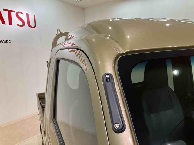 ハイゼットトラックジャンボスタンダード（北海道）の中古車