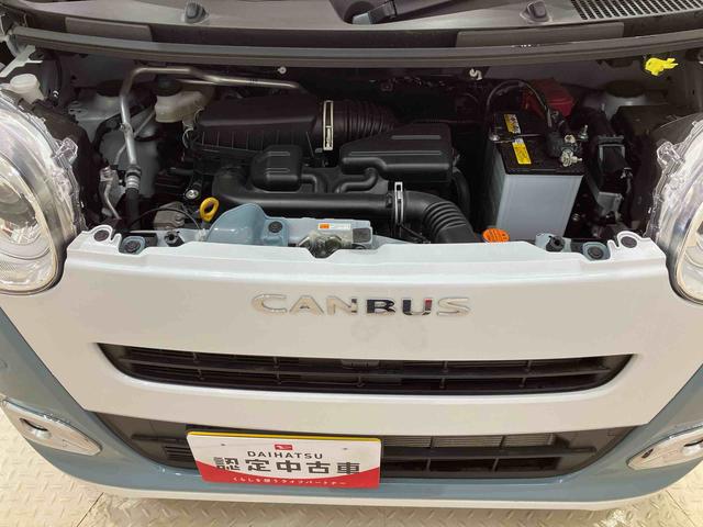 ムーヴキャンバスストライプスＧ（北海道）の中古車
