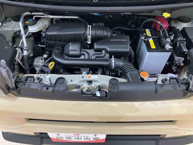 タフトＸ（北海道）の中古車
