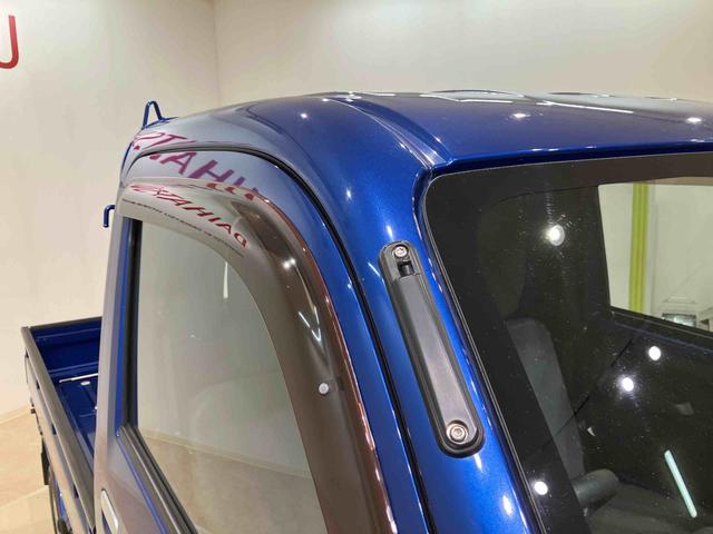 ハイゼットトラックスタンダード（北海道）の中古車