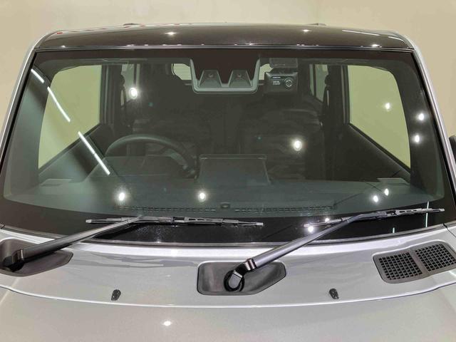 タフトＧターボ（北海道）の中古車