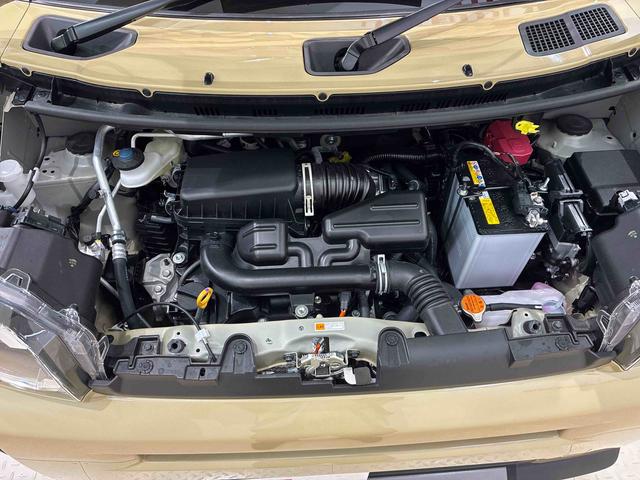 タフトＧ　ダーククロムベンチャー（北海道）の中古車